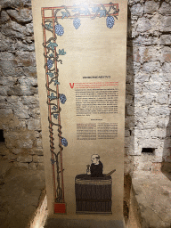 Information on winegrowing at the `Legends of Lokrum` exhibition at the southwest side of the Benedictine Monastery of St. Mary