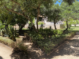 North side of the garden of the Benedictine Monastery of St. Mary