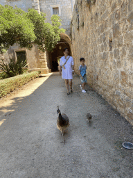 Miaomiao and Max with Peacocks at the north side of the garden of the Benedictine Monastery of St. Mary