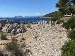 The Lokrum Main Beach