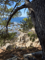 The Lokrum Main Beach, viewed from the loungers