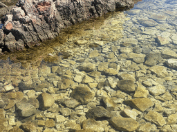 Fishes at the Lokrum Main Beach