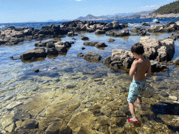 Fishes at the Lokrum Main Beach