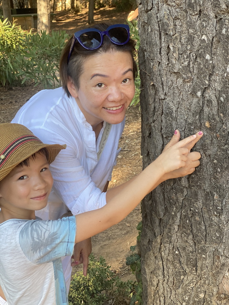 Miaomiao and Max with the skin of a Cicada on a tree