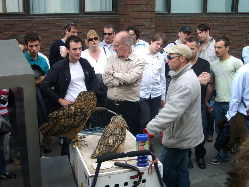 Owls at Peter`s Hill