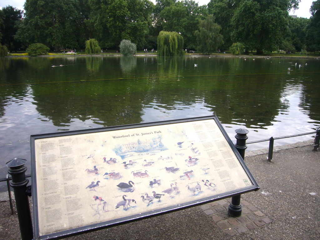 St. James`s Lake in St. James`s Park, with explanation on the waterfowls