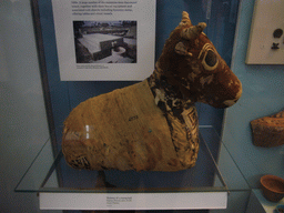 Egyptian bull mummy, in the British Museum