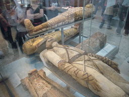Egyptian mummies, in the British Museum