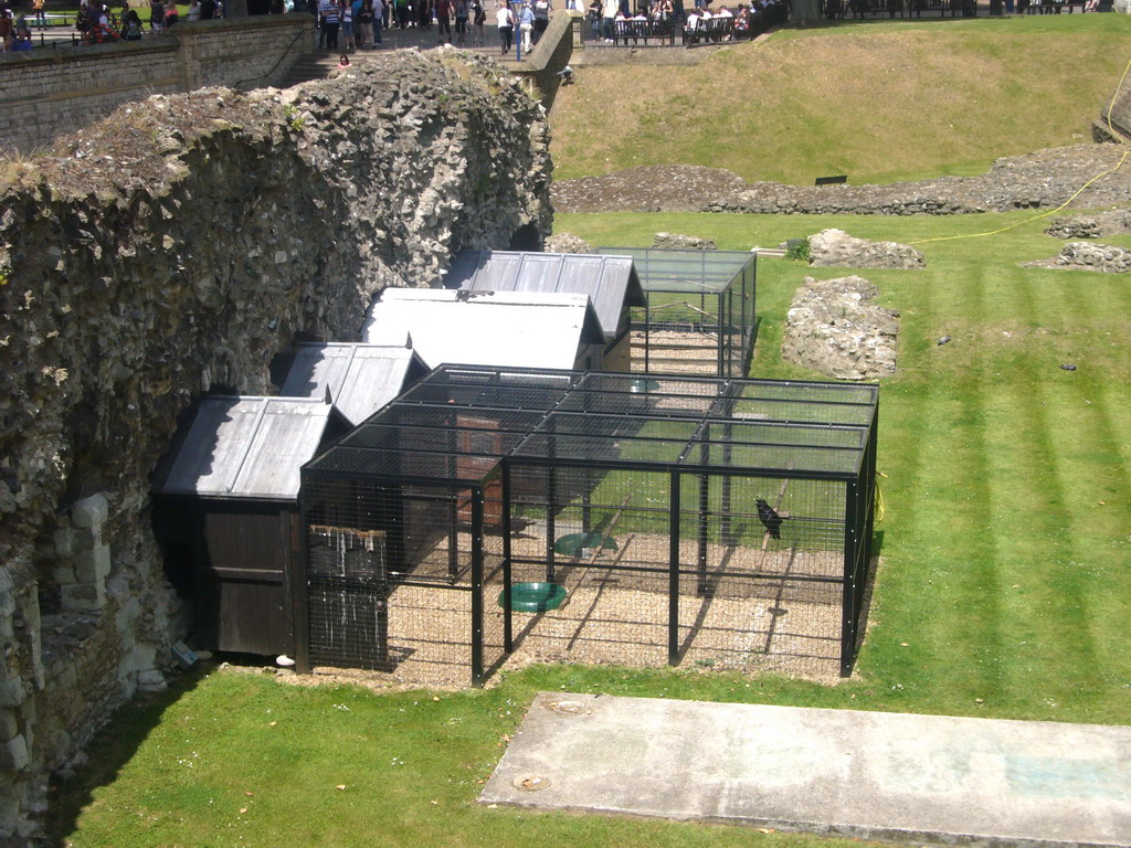 Raven cages at the Tower of London
