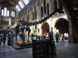 The Central Hall of the Natural History Museum, with a Diplodocus skeleton
