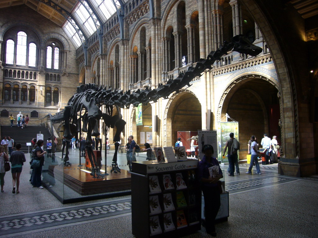 The Central Hall of the Natural History Museum, with a Diplodocus skeleton