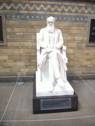 Statue of Charles Darwin, in the Natural History Museum