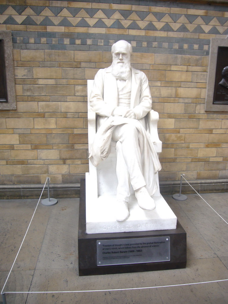 Statue of Charles Darwin, in the Natural History Museum