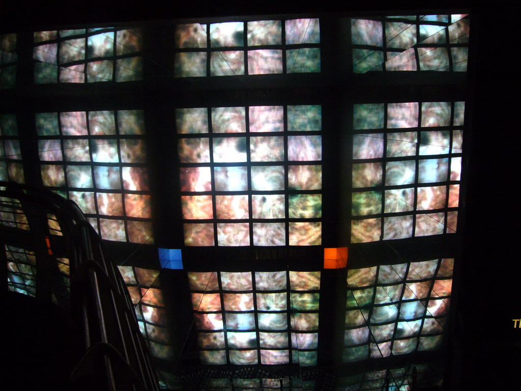 The Video Quadrasphere Display in the Ecology Gallery of the Natural History Museum