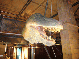 Model of a dinosaur head in the Dinosaurs Gallery of the Natural History Museum