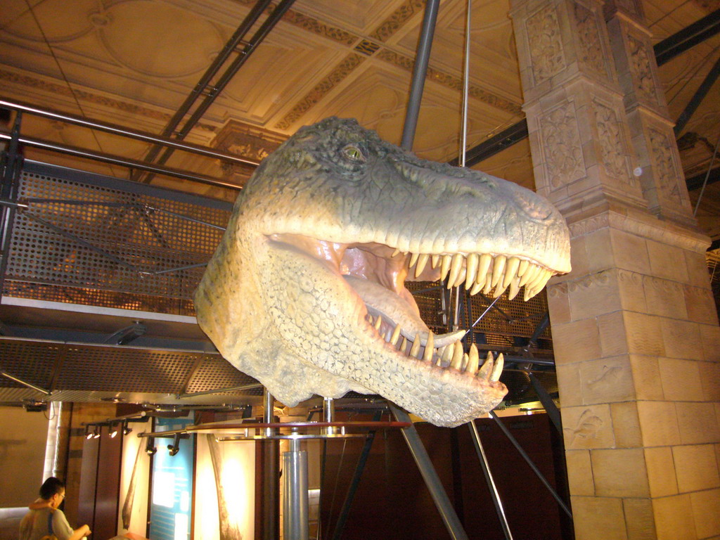 Model of a dinosaur head in the Dinosaurs Gallery of the Natural History Museum