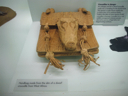 Bag made from crocodile skin, in the Fishes, Amphibians and Reptiles Gallery of the Natural History Museum
