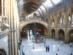 The Central Hall of the Natural History Museum, with a Diplodocus skeleton, from above