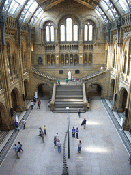 The Central Hall of the Natural History Museum, with the statue of Charles Darwin, from above