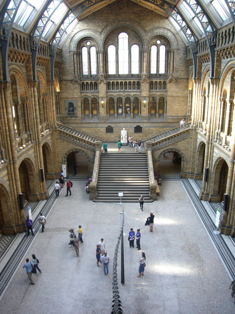 The Central Hall of the Natural History Museum, with the statue of Charles Darwin, from above