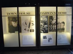 london_1_484 - 183 kb - 1024x768 - Explanation on Darwin`s Home, in the Natural History Museum Explanation on Darwin`s Home, in the Natural History Museum