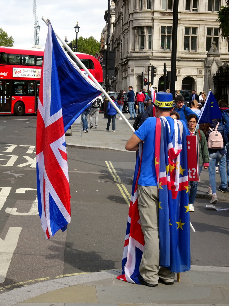 Anti-Brexit demonstrator at Parliament Square