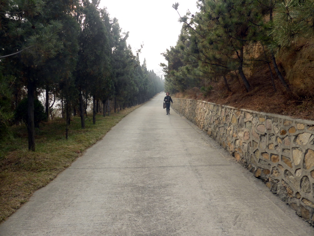 Miaomiao on the road from the back of the Nanshan Great Buddha to the Nanshan Temple