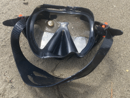 Goggles with shellfish at the Plaa Dubrava Pracat beach