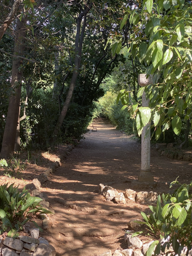 Road at the Ðordic-Mayneri Park