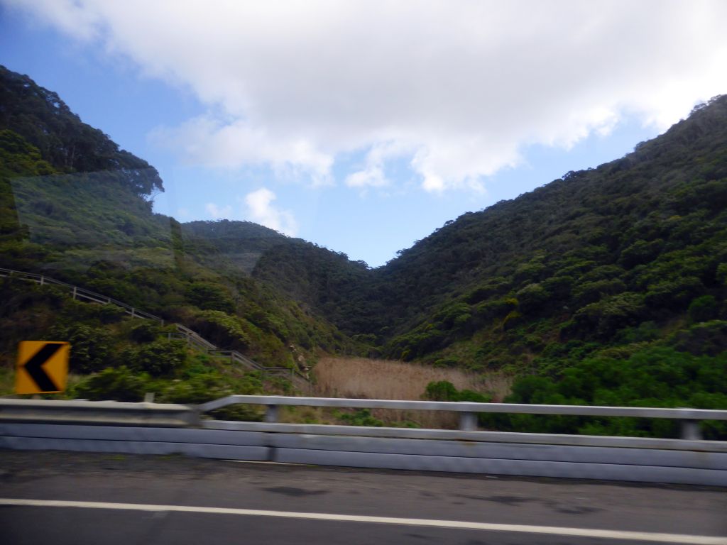 Forested hills in the region southwest of Lorne, viewed from our tour bus