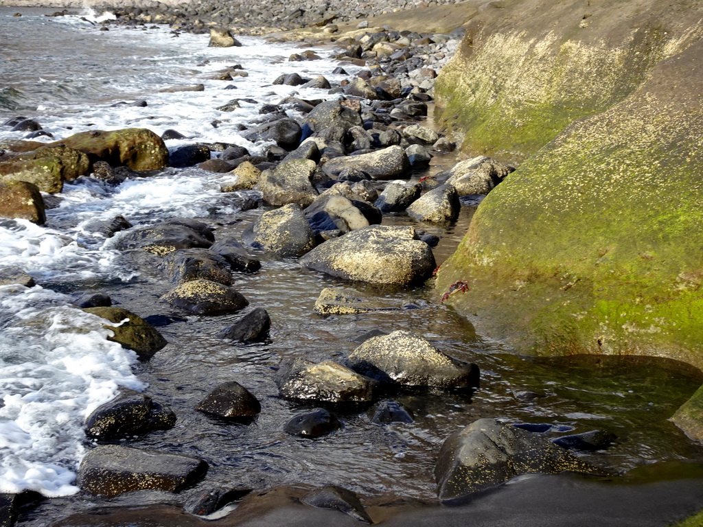 Rocks and crabs at the northeast side of the Playa de los Gigantes beach