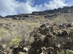 Rocks at the Barranco de Chamoriscán ravine, viewed from the bus from Maspalomas on the Carretera Palmitos Park street