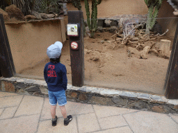 Max with Meerkats at the Palmitos Park