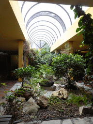 Plants at the Snack Bar near the entrance of the Palmitos Park