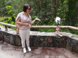 Miaomiao with an Australian White Ibis at the Free Flight Aviary at the Palmitos Park