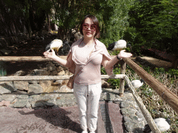 Miaomiao with Australian White Ibises at the Free Flight Aviary at the Palmitos Park