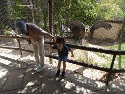 Miaomiao and Max with a Marabou Stork at the Palmitos Park