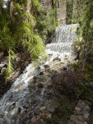 Waterfall at the road to the bird shows at the Palmitos Park