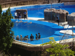Zookeepers, visitors and Dolphins at the Dolphinarium at the Palmitos Park, viewed from the Cactus Garden