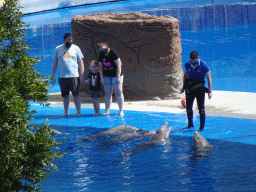 Zookeeper, visitors and Dolphins at the Dolphinarium at the Palmitos Park, viewed from the Cactus Garden