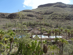 The Dolphinarium at the Palmitos Park, viewed from the path from the Cactus Garden to the La Palapa Restaurant