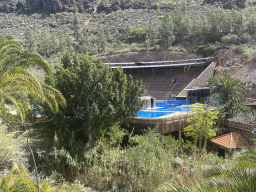 The Dolphinarium at the Palmitos Park, viewed from the path from the Cactus Garden to the La Palapa Restaurant