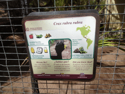 Explanation on the Great Curassow at the Palmitos Park