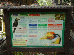 Information on the Hornbill at the Palmitos Park
