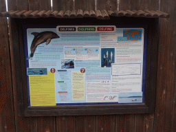 Information on Dolphins at the Dolphinarium at the Palmitos Park