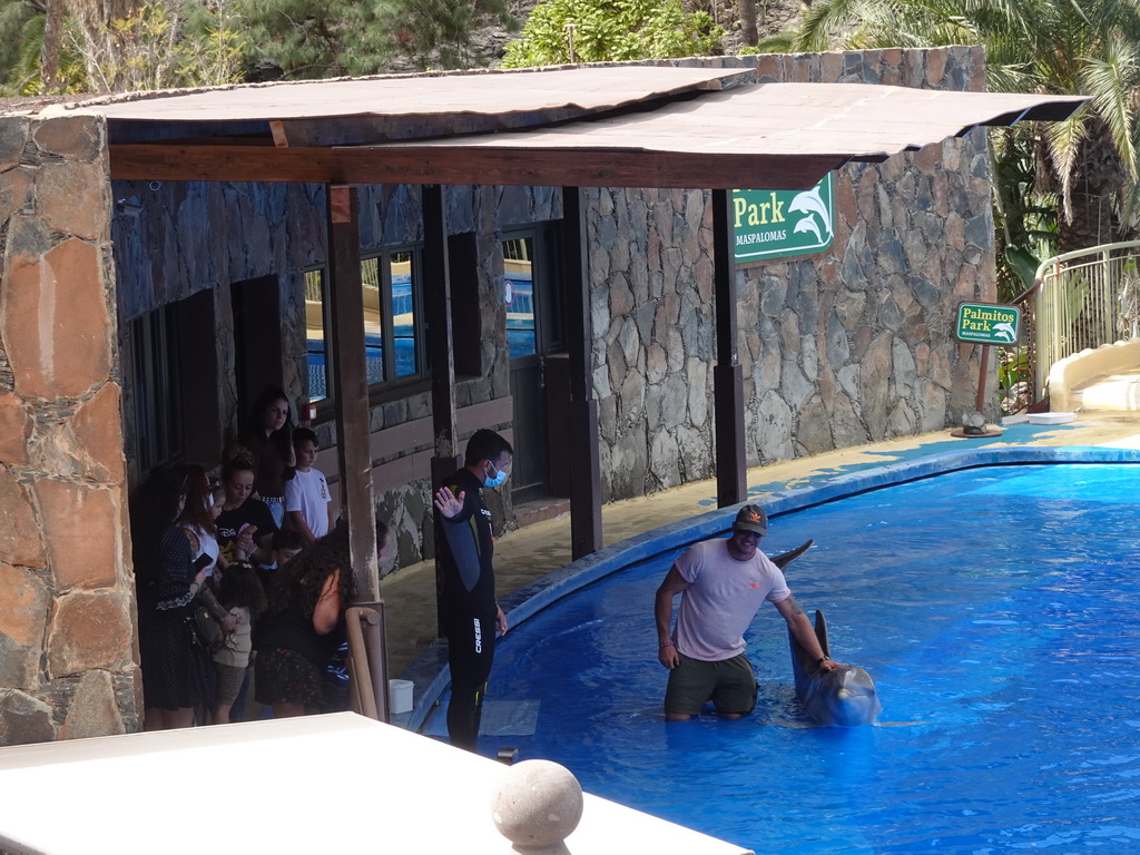 Zookeeper and visitors making photos with a Dolphin at the Dolphinarium at the Palmitos Park, just before the Dolphin Show