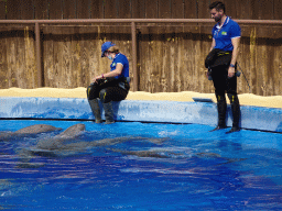 Zookeepers and Dolphins at the Dolphinarium at the Palmitos Park, just before the Dolphin Show