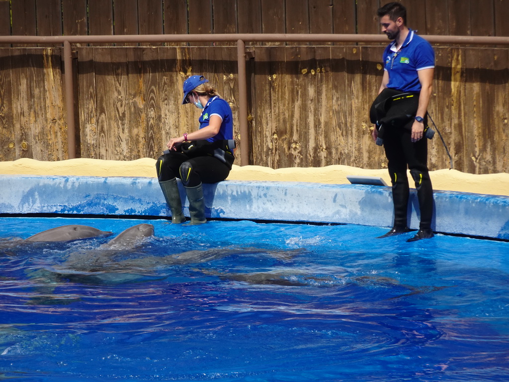 Zookeepers and Dolphins at the Dolphinarium at the Palmitos Park, just before the Dolphin Show