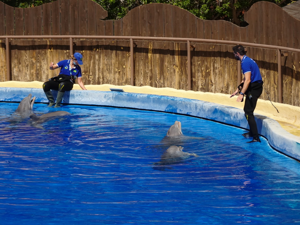 Zookeepers and Dolphins at the Dolphinarium at the Palmitos Park, just before the Dolphin Show