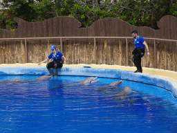 Zookeepers and Dolphins at the Dolphinarium at the Palmitos Park, just before the Dolphin Show